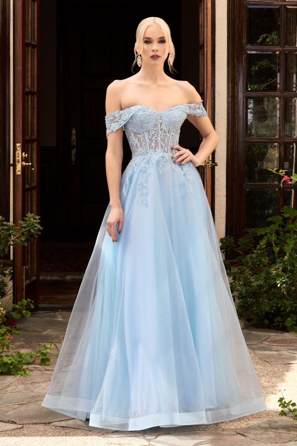 Off the Shoulder Lace Dress: Layered Tulle, Corseted Fit
