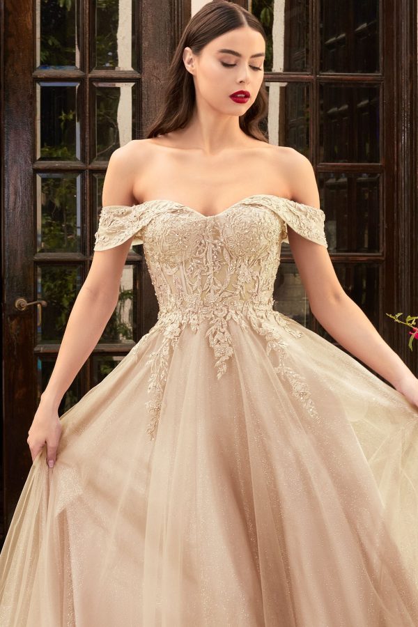 Off the Shoulder Lace Dress: Layered Tulle, Corseted Fit - Image 3