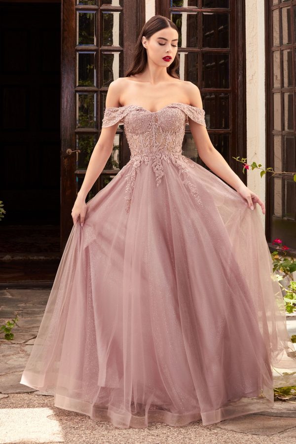 Off the Shoulder Lace Dress: Layered Tulle, Corseted Fit - Image 6
