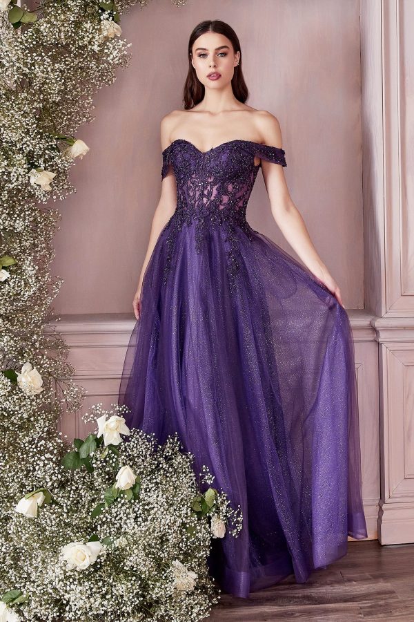 Off the Shoulder Lace Dress: Layered Tulle, Corseted Fit - Image 2